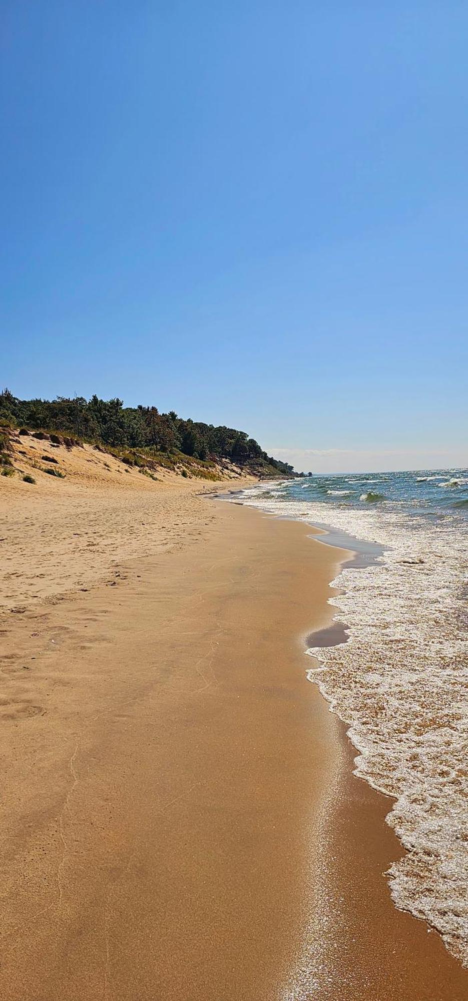 Tiny Digs Lakeshore - Tiny House Lodging Muskegon Extérieur photo